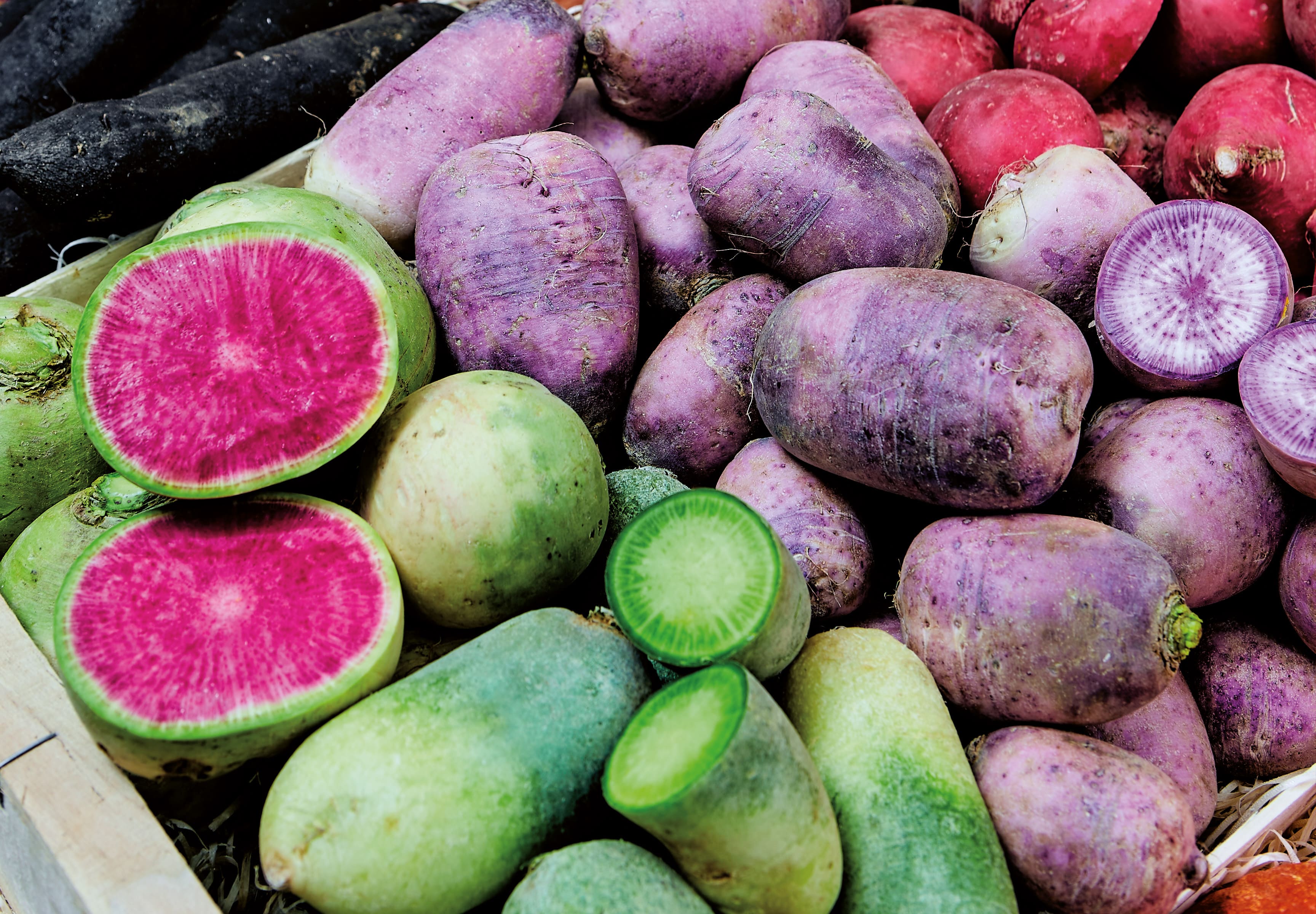 Rábanos de colores para alegrar sus puestos de mercado