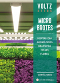 micro_brotes