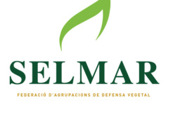 selmar_logo