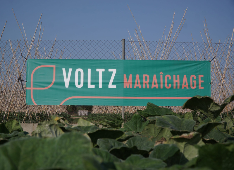 selmar_voltz_maraichage